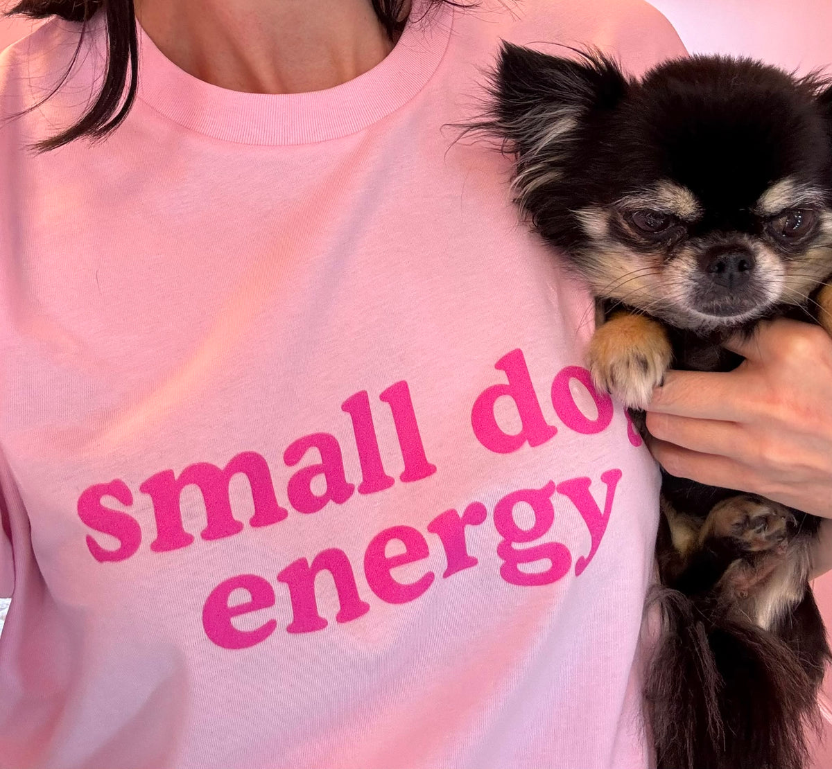 Close-up of the pink small dog energy tee and its darker pink lettering beside a Chihuahua.